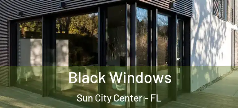  Black Windows Sun City Center - FL