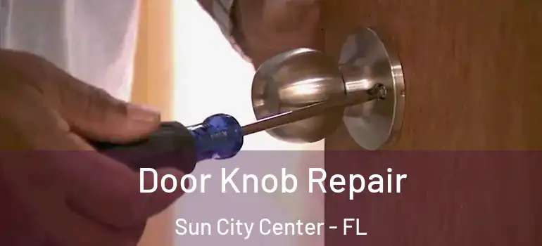  Door Knob Repair Sun City Center - FL