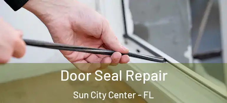  Door Seal Repair Sun City Center - FL