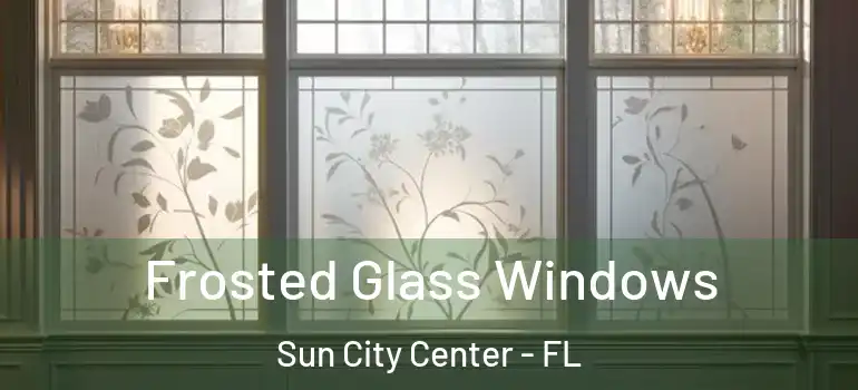  Frosted Glass Windows Sun City Center - FL