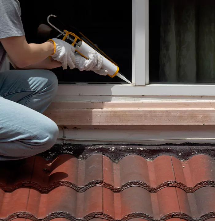 Roof Window Services in Sun City Center, Florida