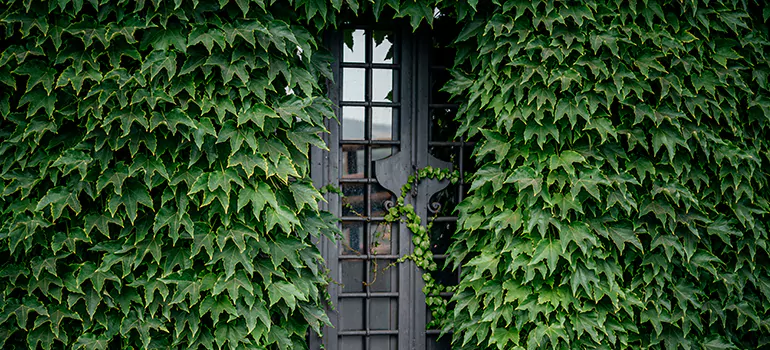Garden Gate Repair in Sun City Center, FL