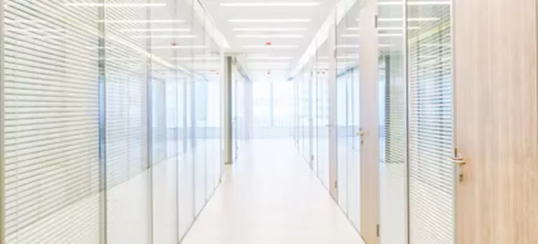 Frosted Glass Windows Replacement in Sun City Center, FL