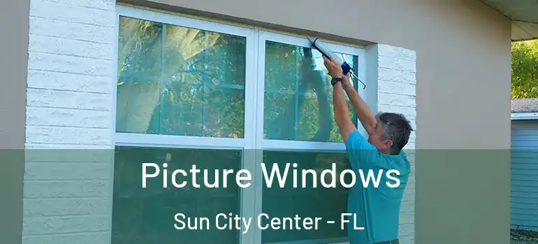  Picture Windows Sun City Center - FL