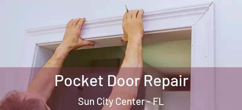  Pocket Door Repair Sun City Center - FL