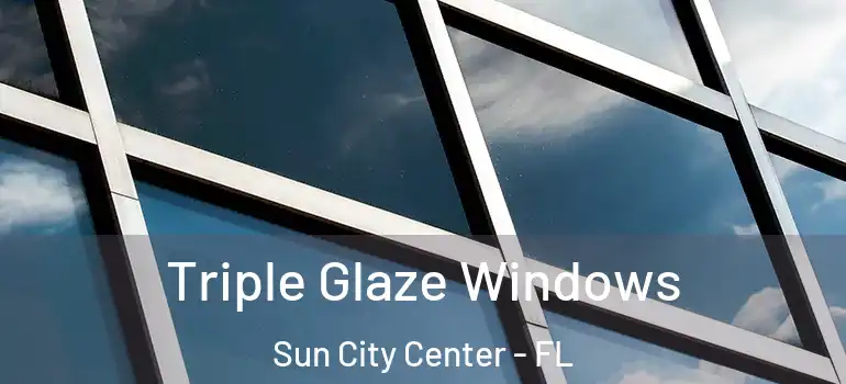 Triple Glaze Windows Sun City Center - FL