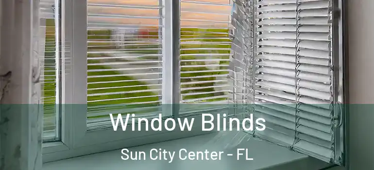  Window Blinds Sun City Center - FL