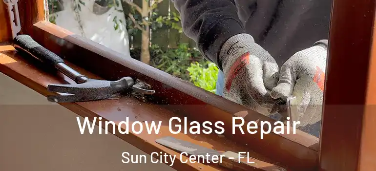  Window Glass Repair Sun City Center - FL