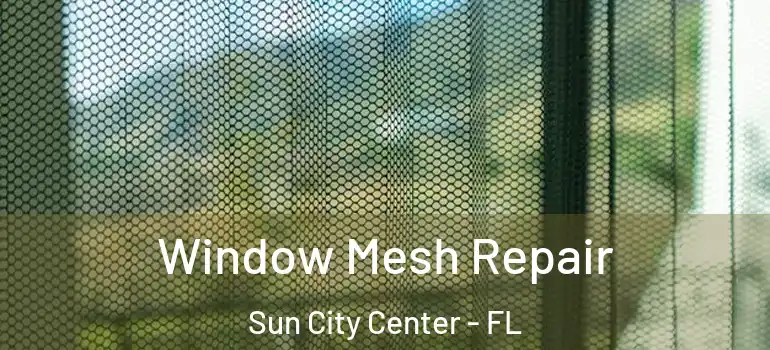  Window Mesh Repair Sun City Center - FL