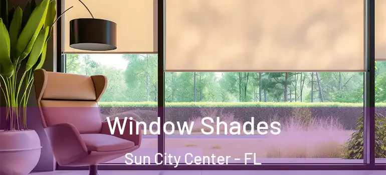  Window Shades Sun City Center - FL