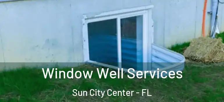  Window Well Services Sun City Center - FL